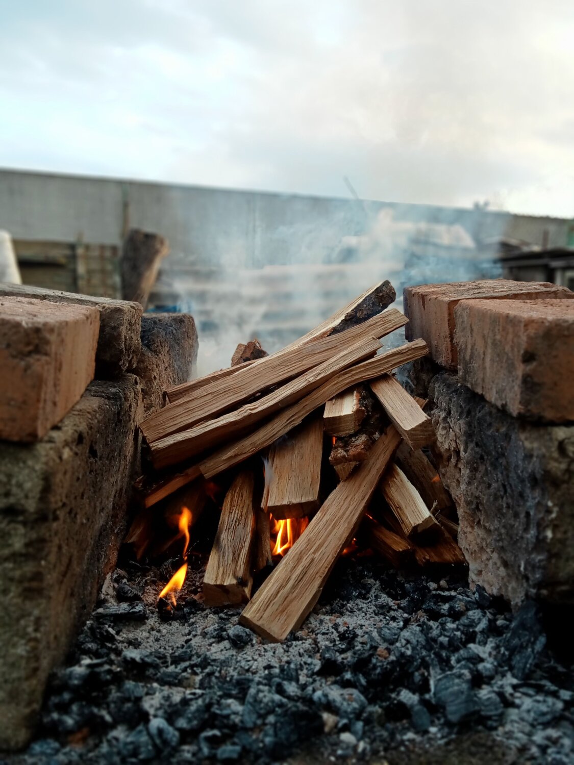 Photo #7575910