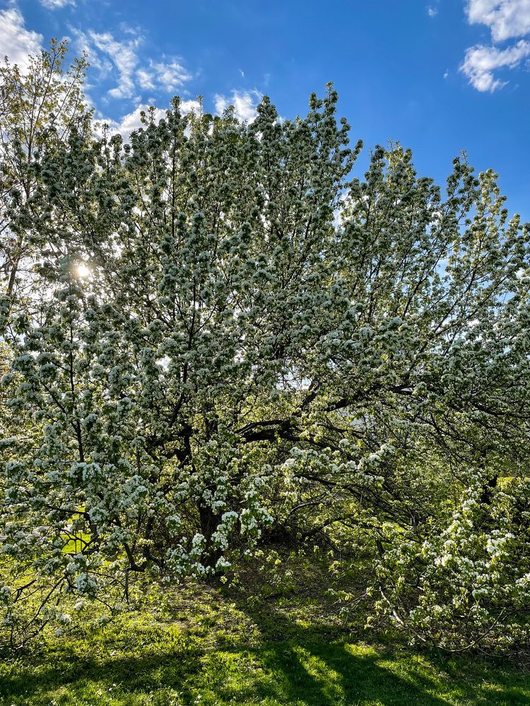 Photograph by Полина Зенькович