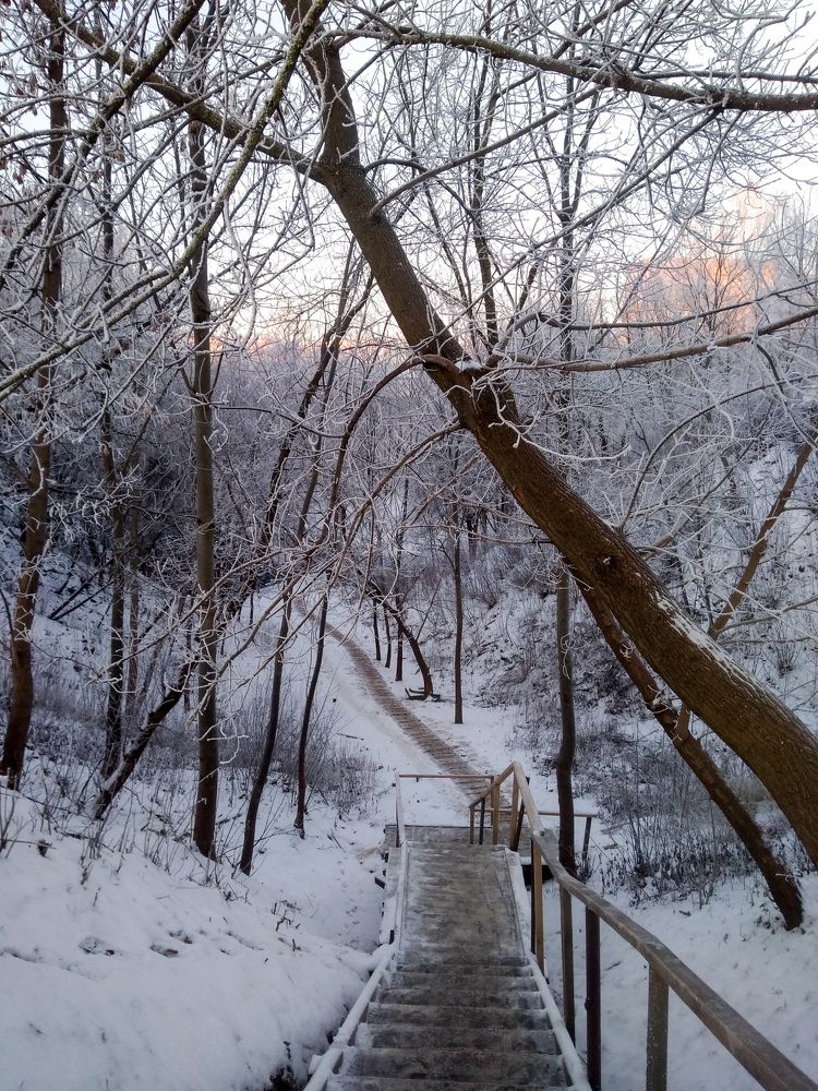 Iced wooden stairs on a winter morning