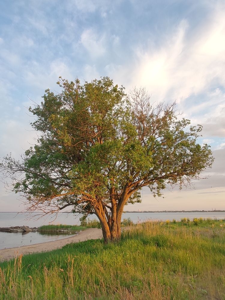 Photograph by Boitcova Anna