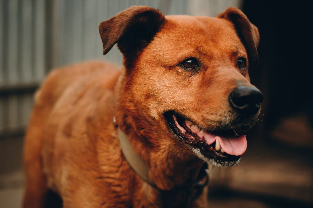 Photograph by Павел Каминский