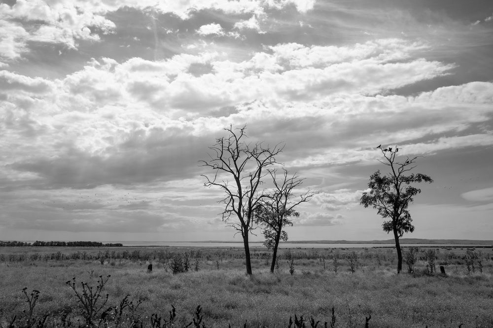 Photograph by Александр Максимов