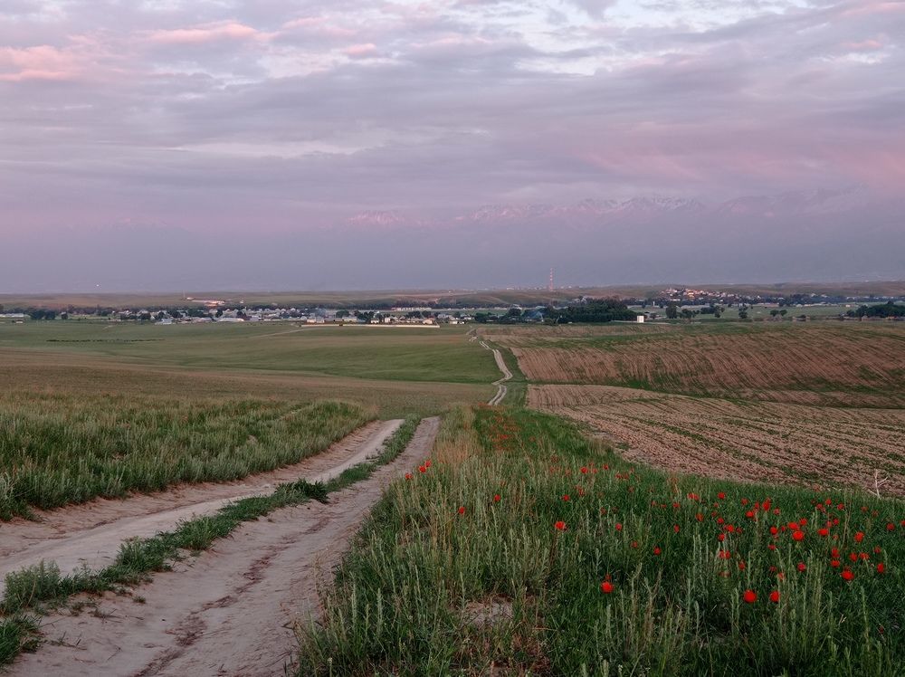 Photograph by Анастасия Медяникова