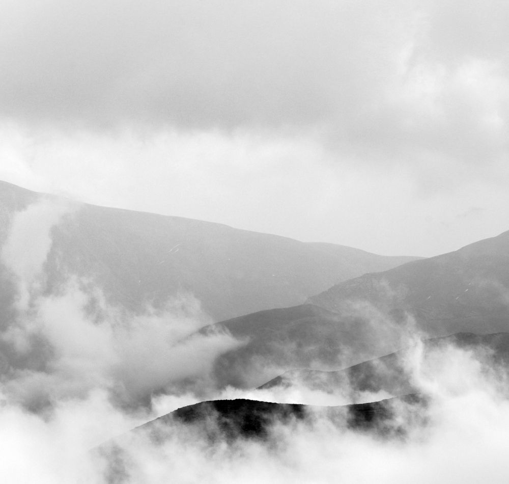 Фотография автора payman Mollaie