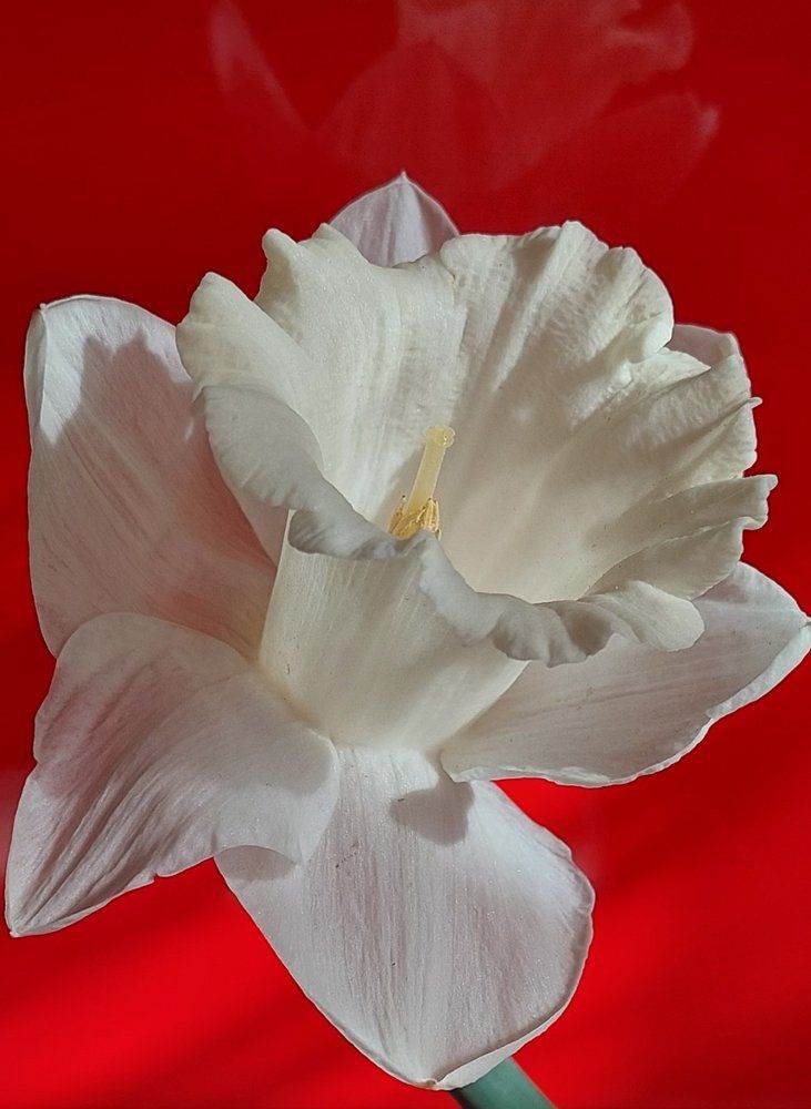 Photograph by Светлана Усатенко