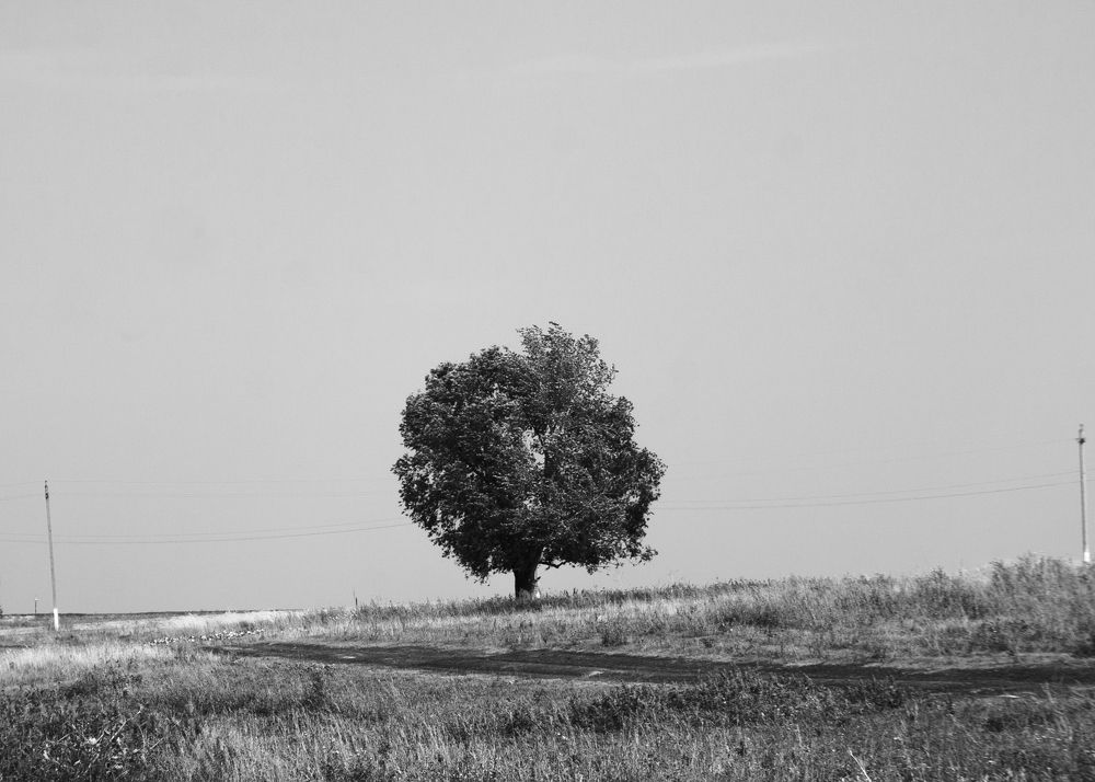 Photograph by Натали Урмакова