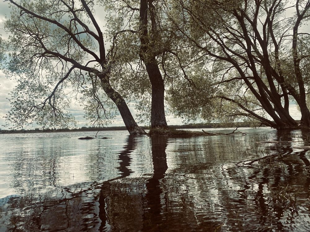 Photograph by Наталья Трусова