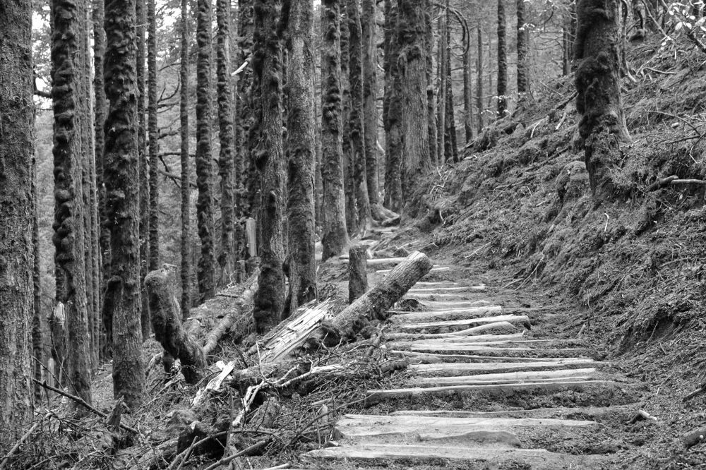 Photograph by Лада Денисова