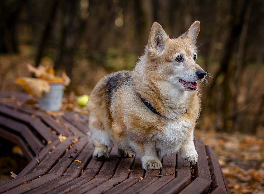 Can you believe that?