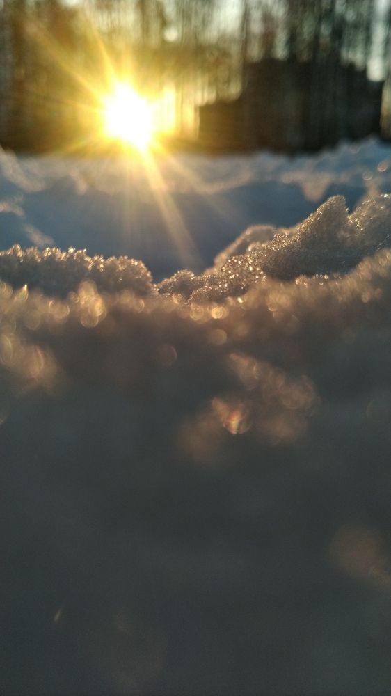 Photograph by Екатерина Савостикова