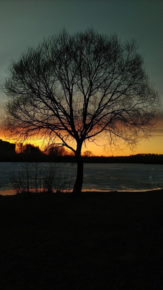 Photograph by Екатерина Савостикова