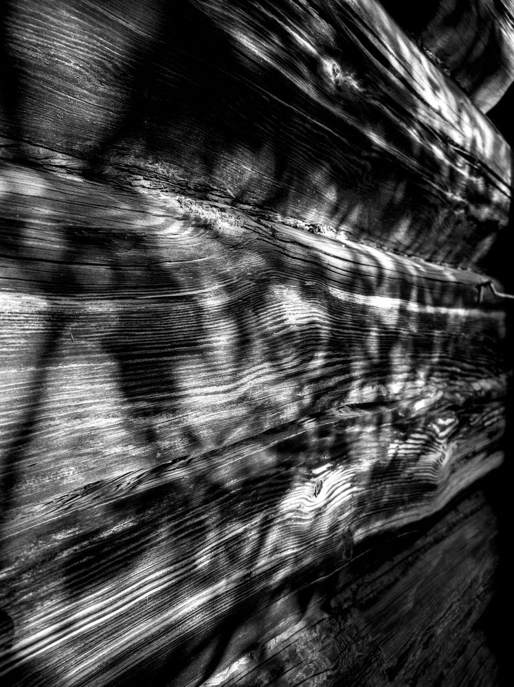 Photograph by Усевалад Куліш