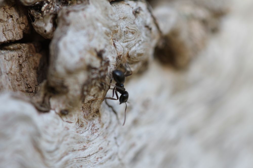 Photograph by Ольга Багрова