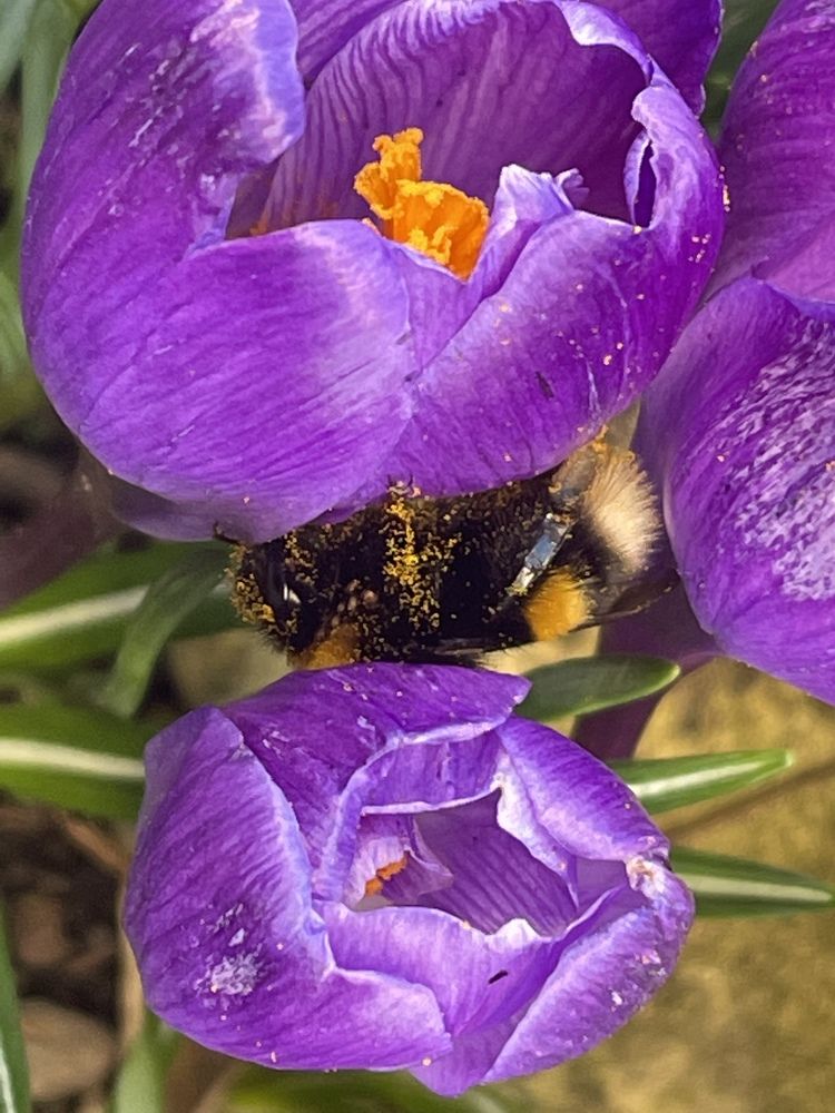 Photograph by Julia Reiner