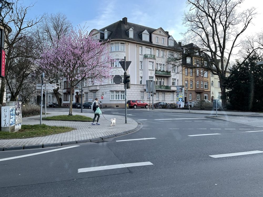 Photograph by Julia Reiner