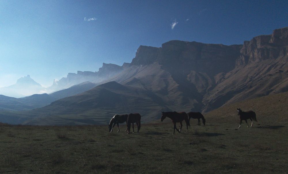 Photograph by Виктор Чернышов