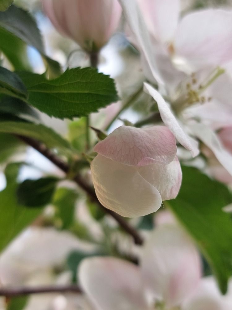 Photograph by Irina Lobko