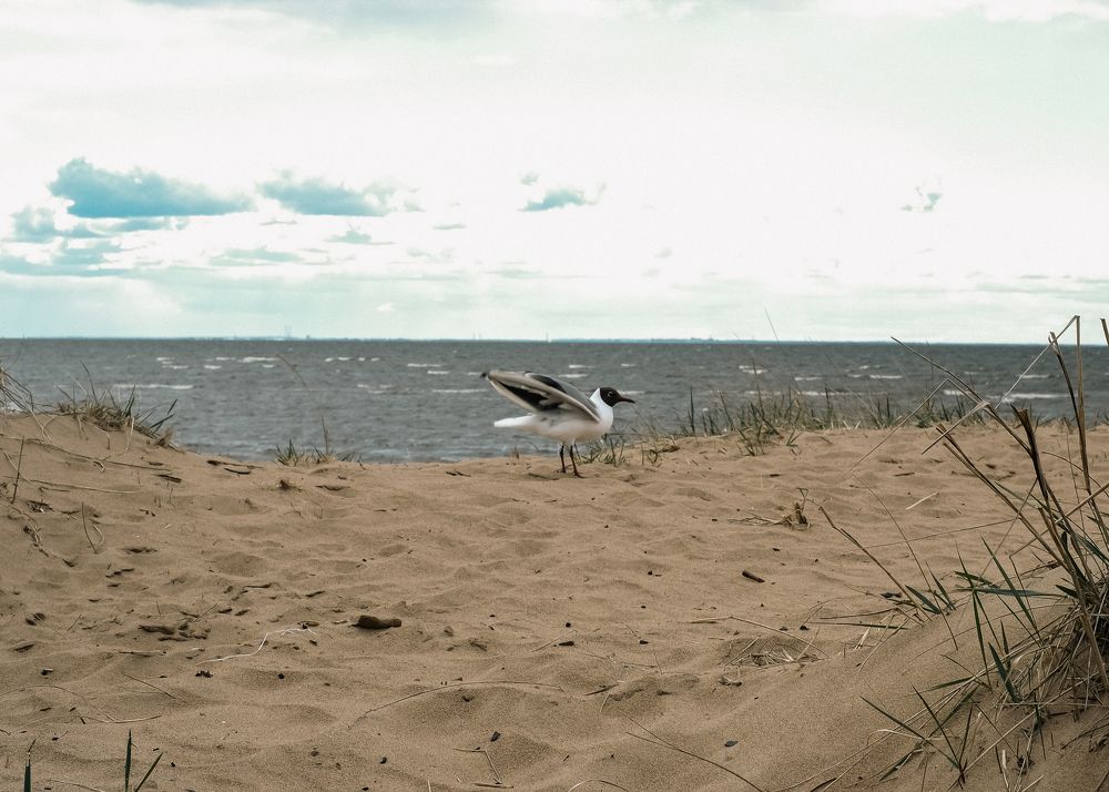 Photograph by Наталья Петриленкова