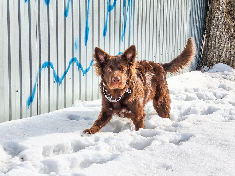 Photograph by Андрей Баталов