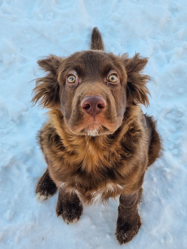 Photograph by Андрей Баталов