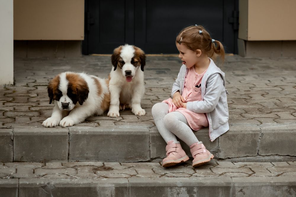 Photograph by Наталья Чухно