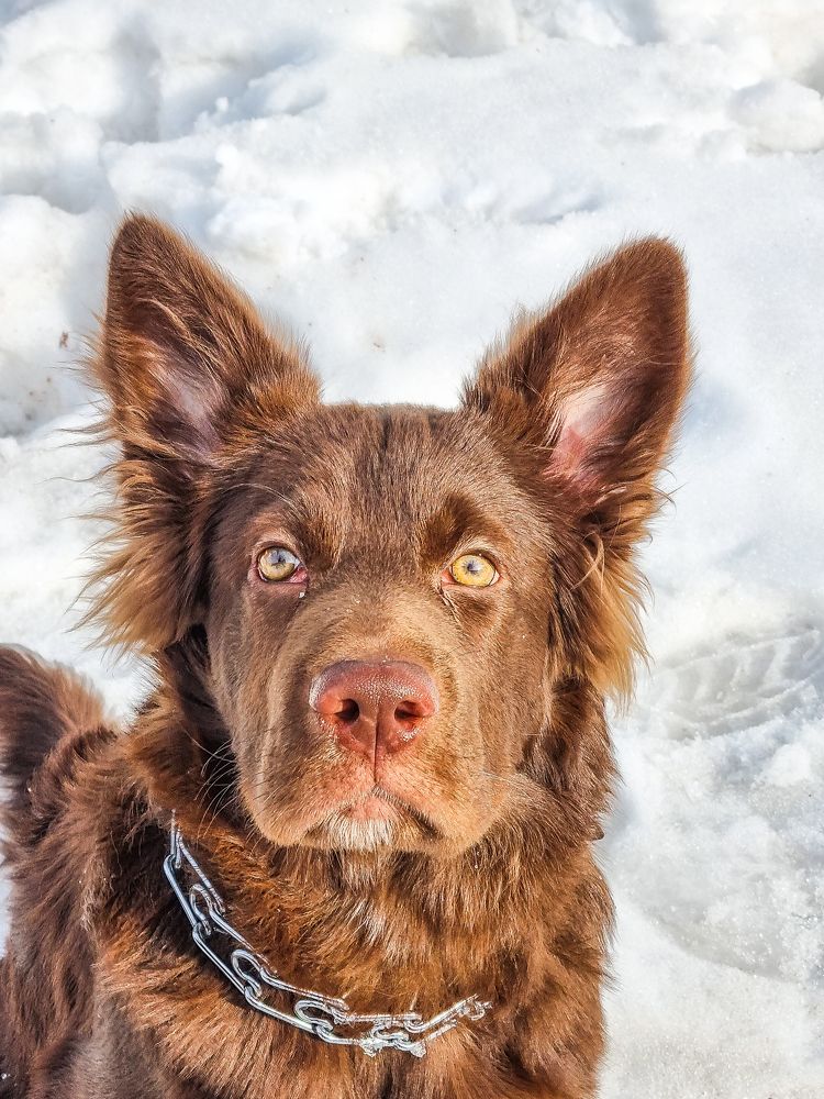 Photograph by Андрей Баталов