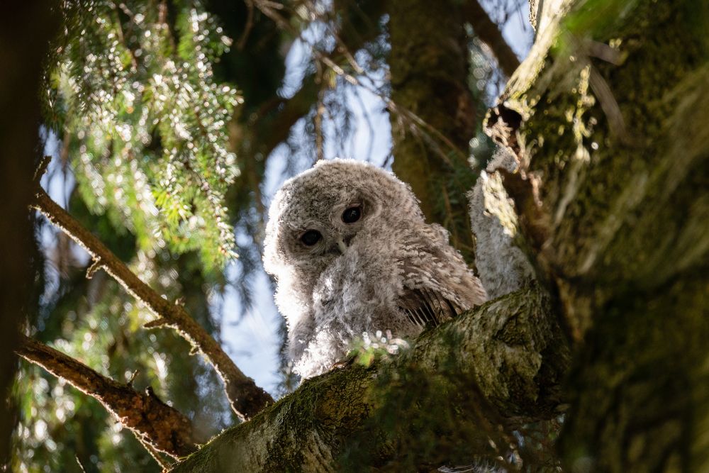 Photograph by Екатерина Аксёнова