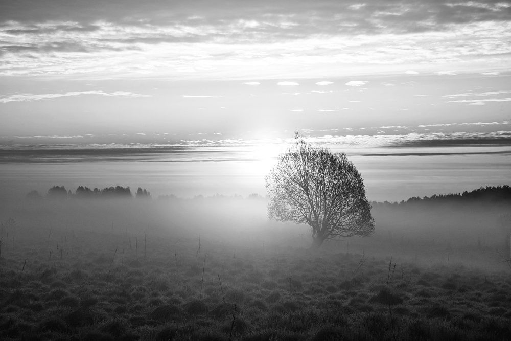 Photograph by Илья Шамин