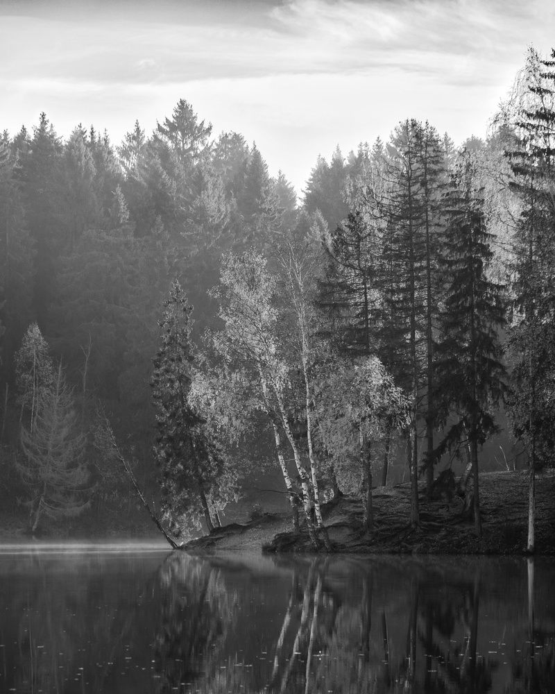 Photograph by Илья Шамин