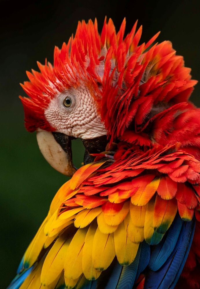 Photograph by Ricardo Ferreira