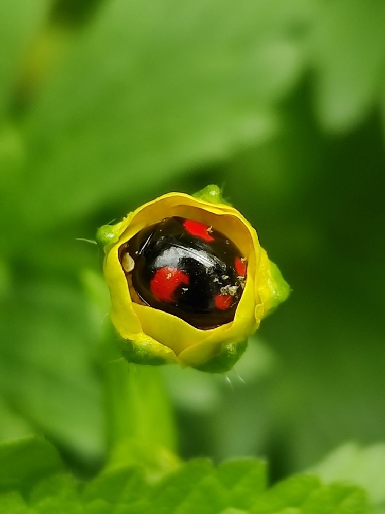 Photograph by Луиза Баширова