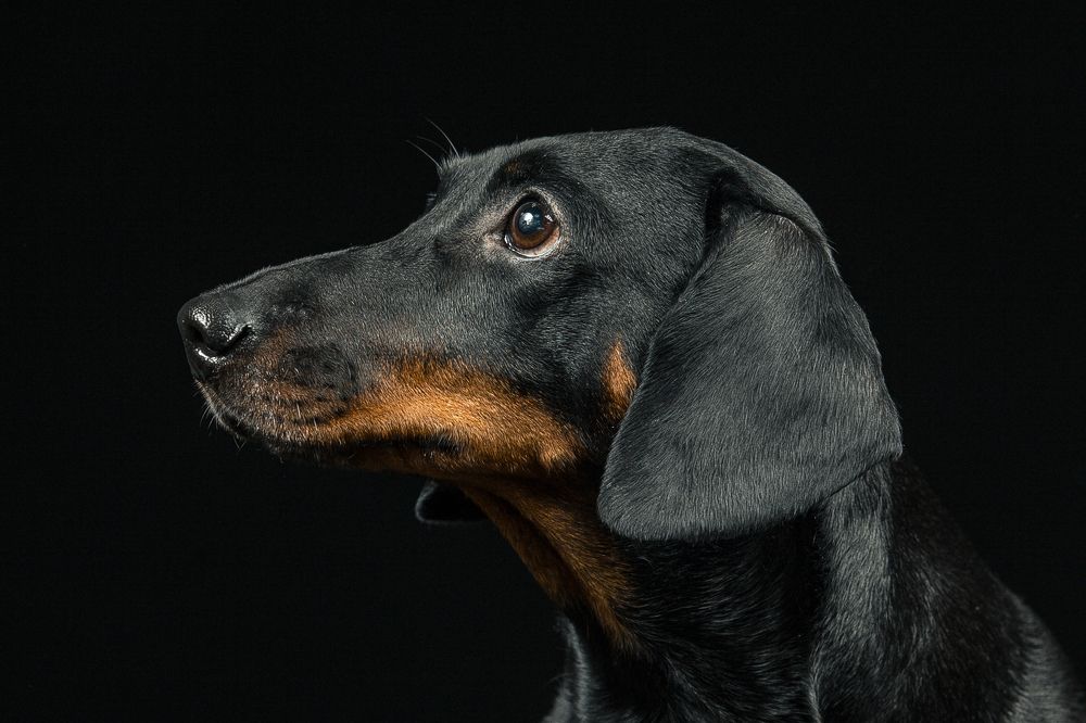 Photograph by Кристина Дугина