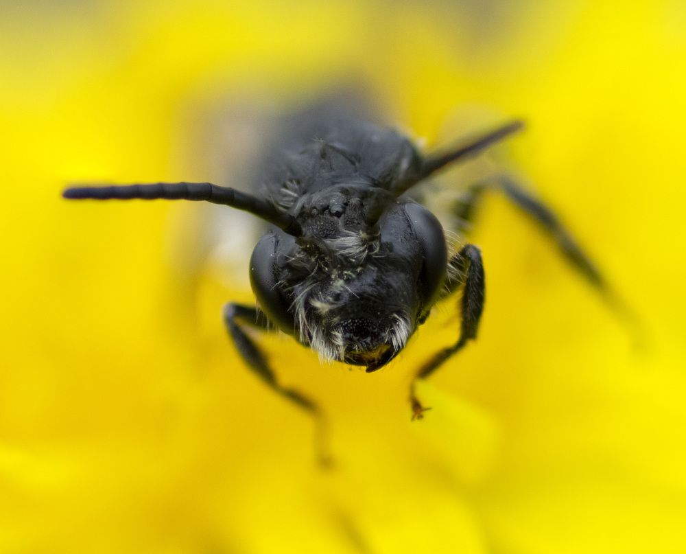 Photograph by Эльвира Быкова