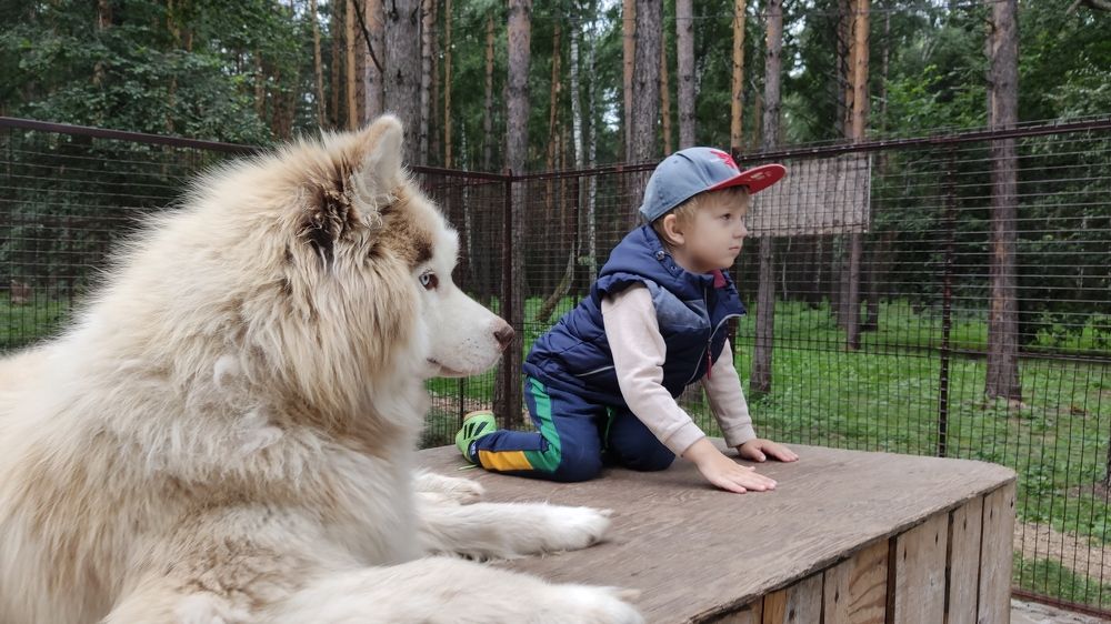 Photograph by Сергей Князев