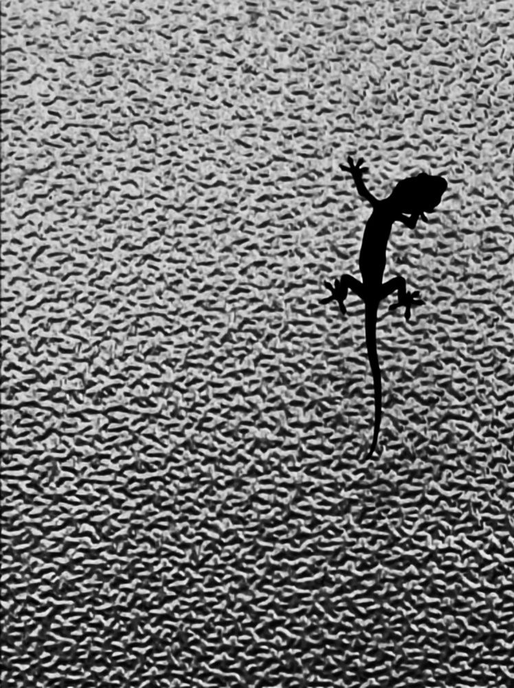 Photograph by Thariq Huzaima