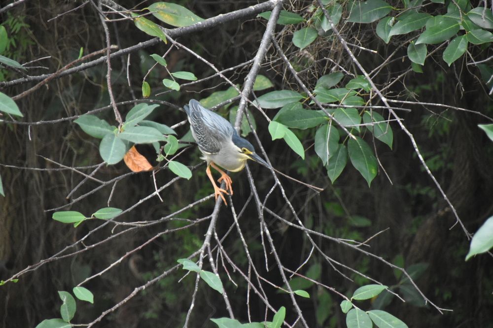 Photograph by Thariq Huzaima