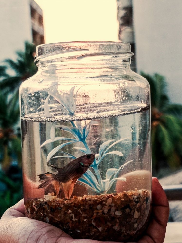 Photograph by Thariq Huzaima