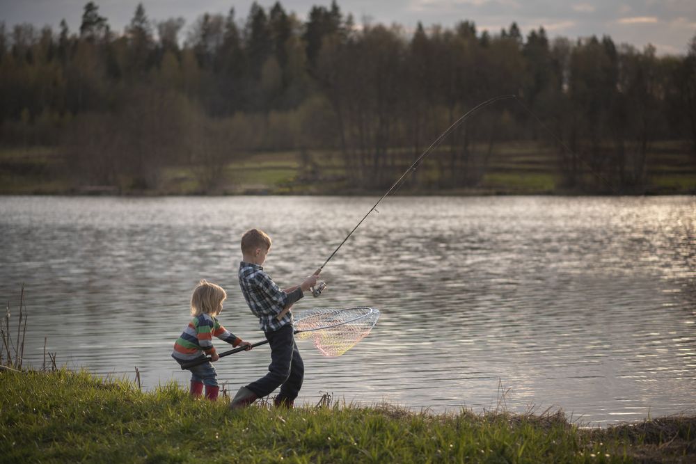Photograph by Валентина Тарасова
