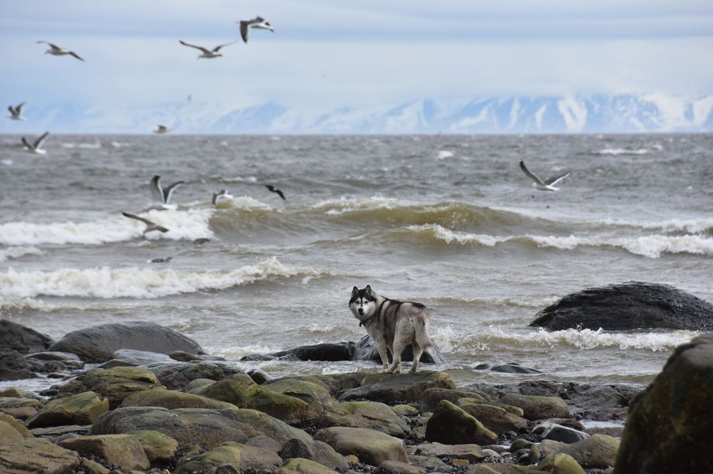 Photograph by Евгений Захаров