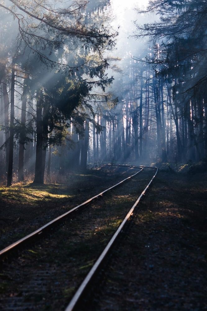 Photograph by Ксения Туваева