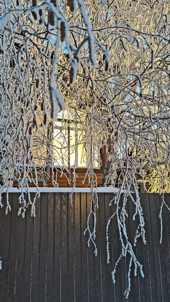 Photograph by Юлия Кожевникова