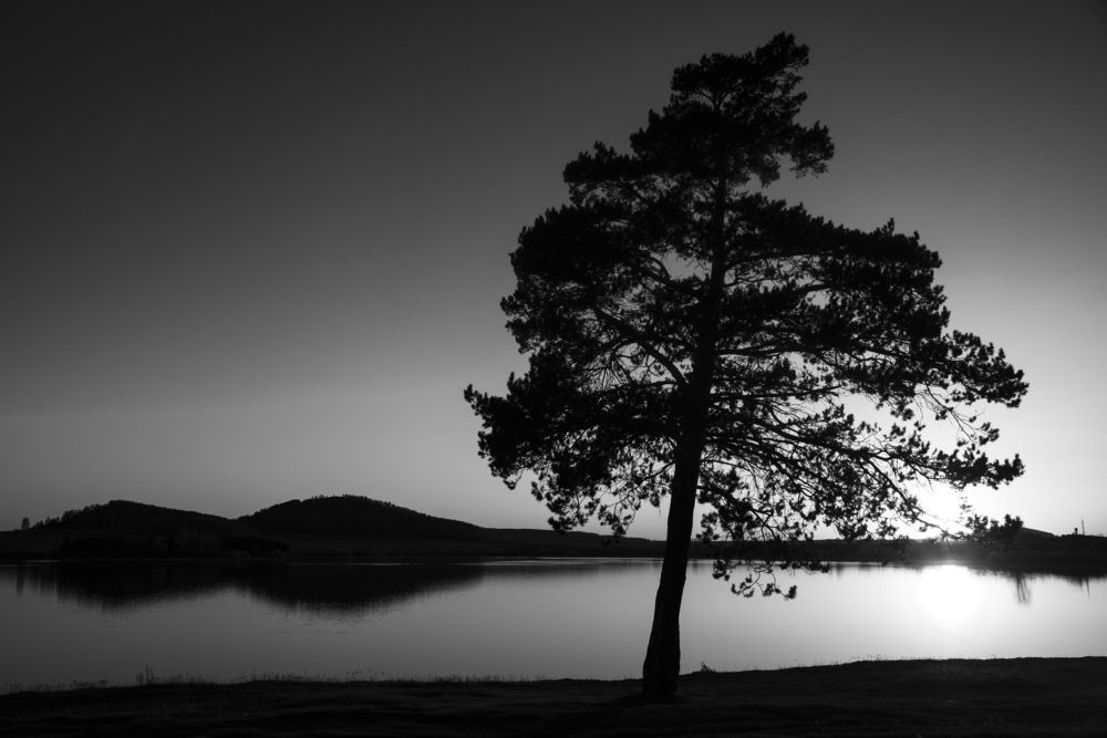 Photograph by Артём Самусенко