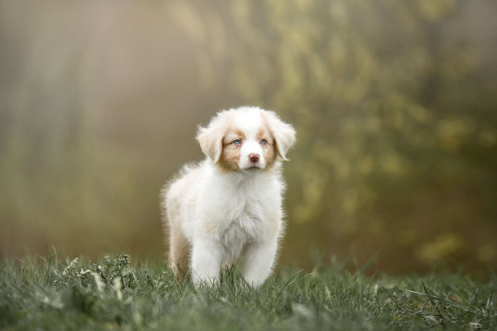 Фотография автора Ирина Мороз