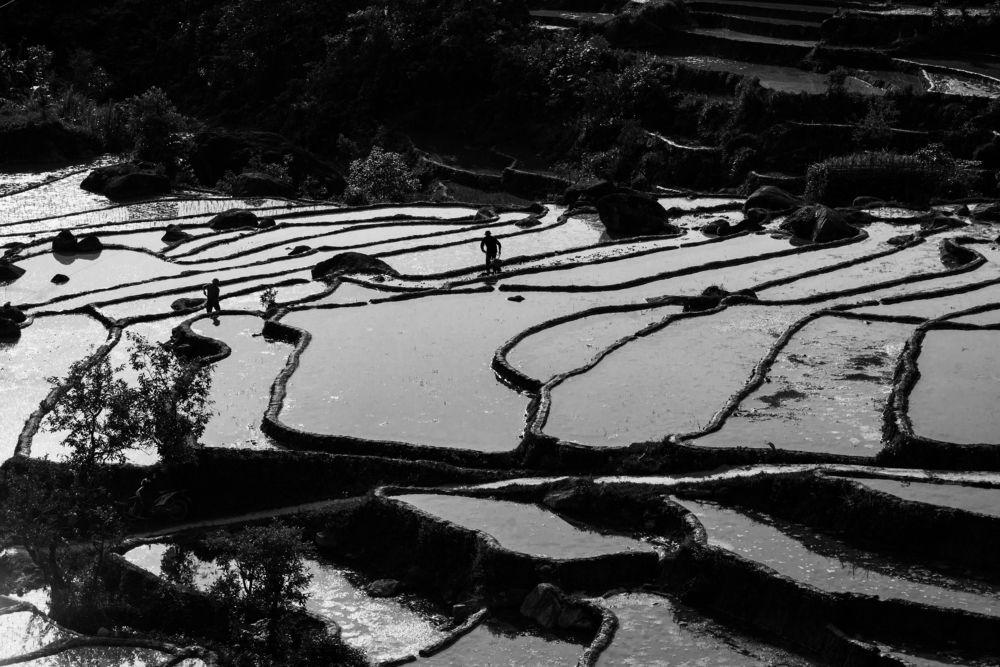 Фотография автора Trần Minh Thìn