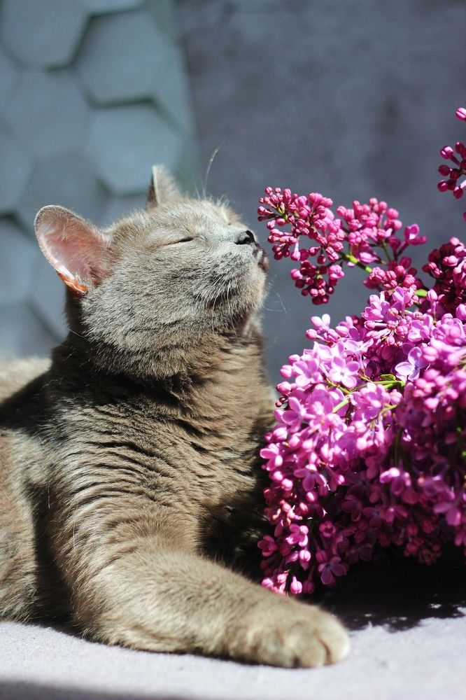 Photograph by Мария Мельникова