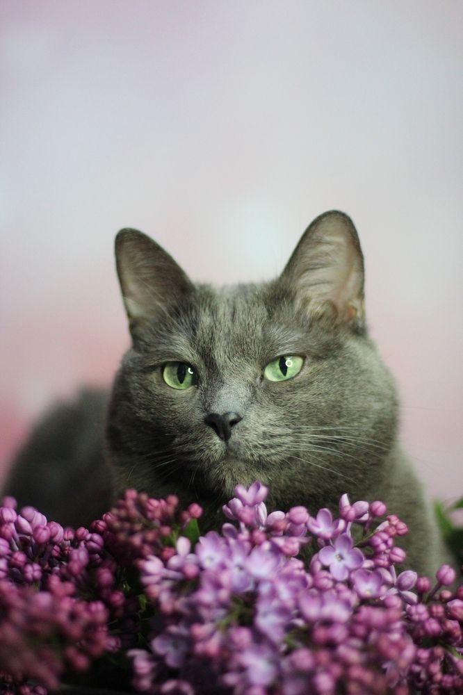 Photograph by Мария Мельникова