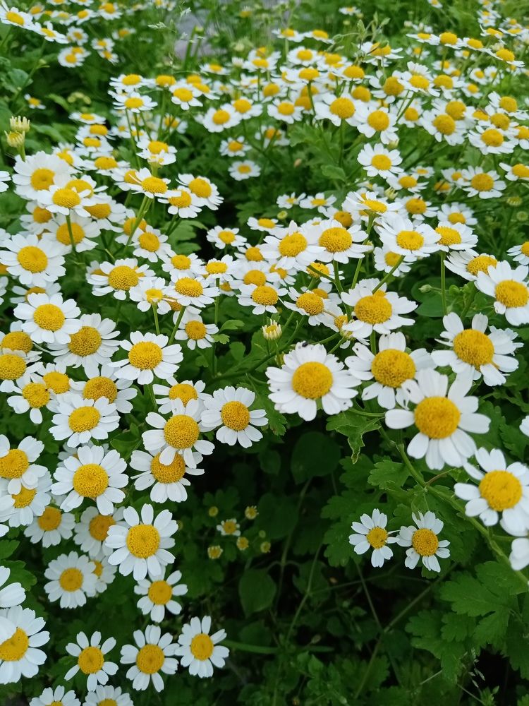 Photo #7576867