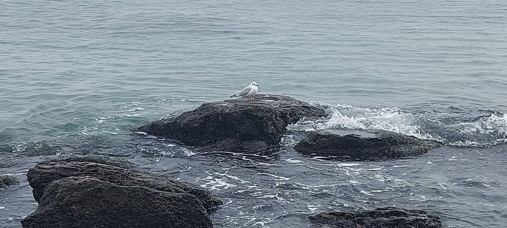 Photograph by Виктор Петров