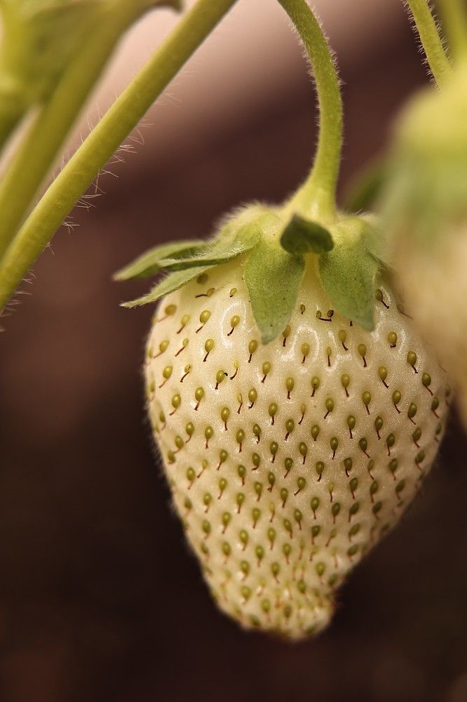 Photograph by Елена Одынец