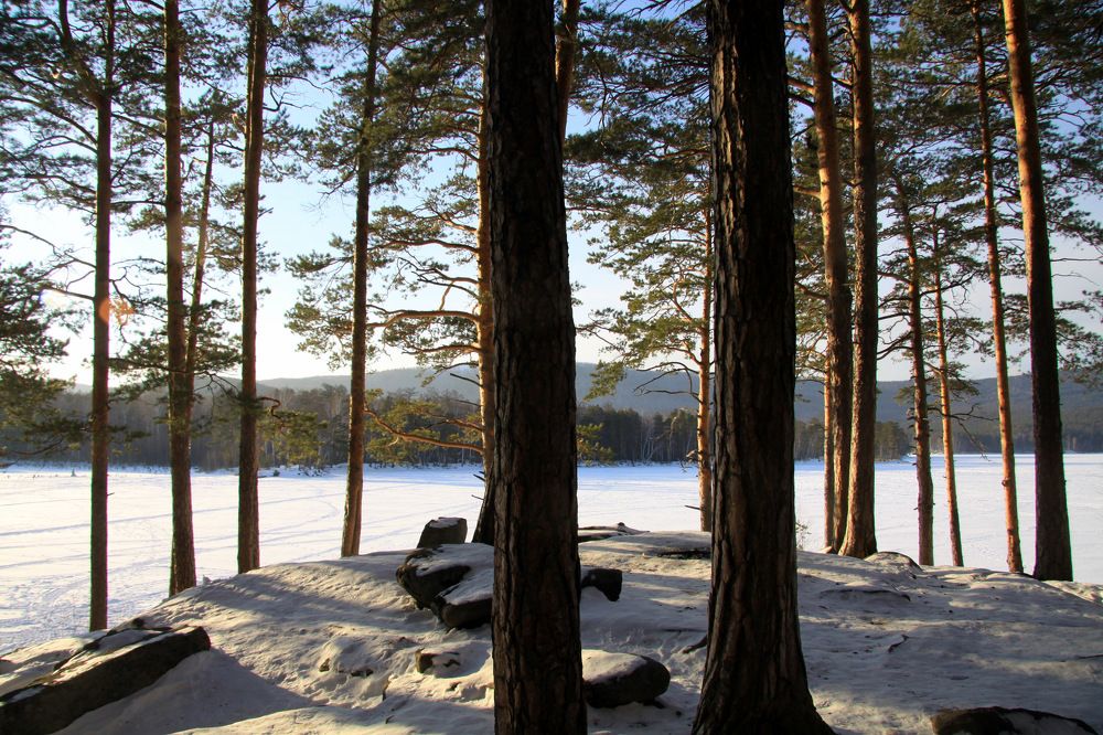 Photograph by Михаил Карнишин